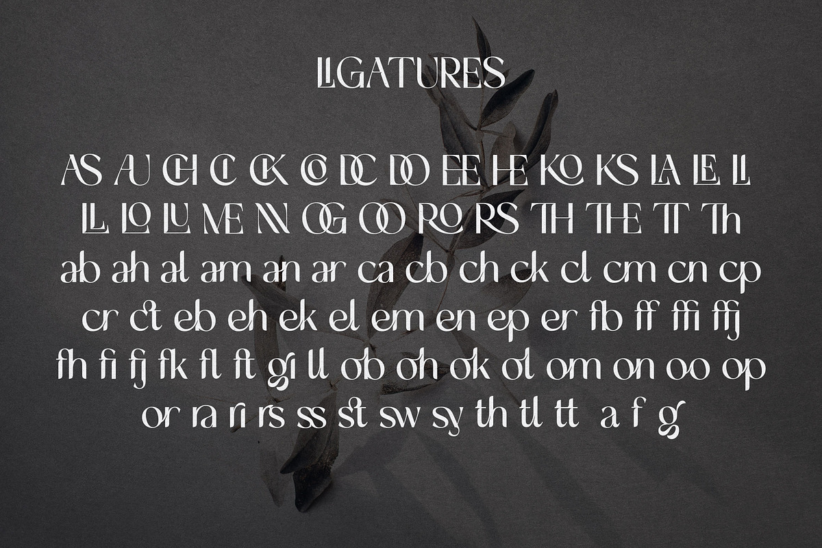 Agistra | Modern Ligature Sans, a Sans Serif Font by Krismagraph (Photo 7 of 12)