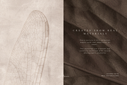 Nature Texture Backgrounds, a Background Graphic by Altea Design Studio (Thumbnail 8 of 20)
