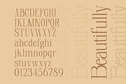 Glorious Copper Family, a Serif Font by Lettertype Studio (Thumbnail 6 of 20)