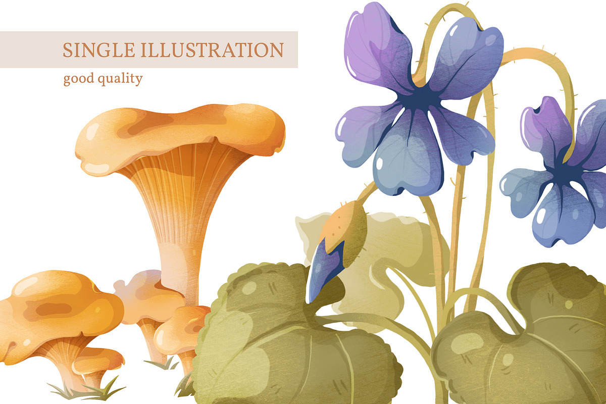 Mushrooms & flowers, a Texture Illustration by Izobova (Photo 4 of 7)