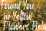 Raffles Bryant - Textured Brush Font, a Handwritten Font by StringLabs (Thumbnail 8 of 12)