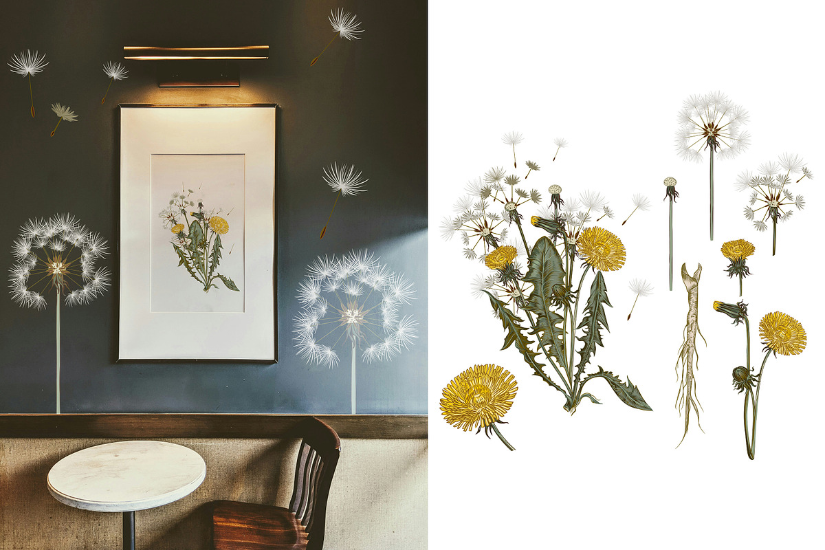 Dandelion wildflowers patterns set, a Seasonal Illustration by FleurArt (Photo 5 of 11)