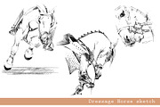 Sport Horses watercolor set, an Object Graphic by FineArt (Thumbnail 12 of 18)
