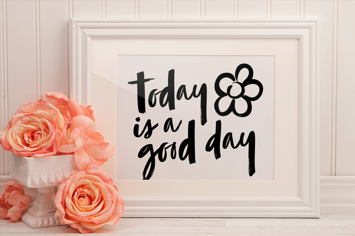 Zooja Script, a Script Font by Aerotype (Photo 1 of 17)