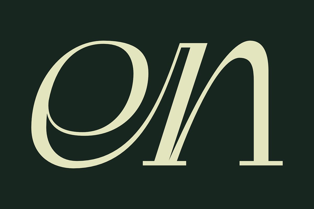 Padeline - Unique Serif, a Serif Font by Khoir (Photo 3 of 9)