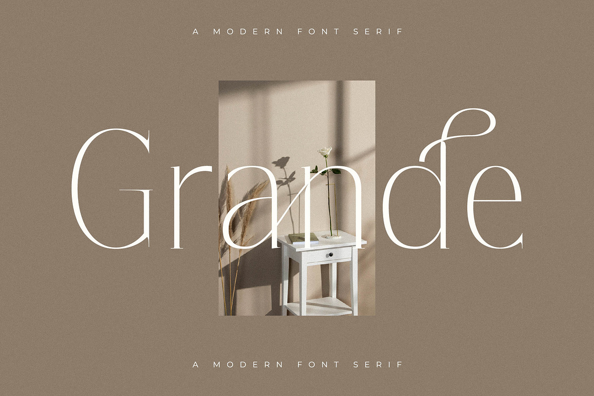 Lisandra A Modern Font Serif, a Serif Font by Storytype Studio (Photo 4 of 15)