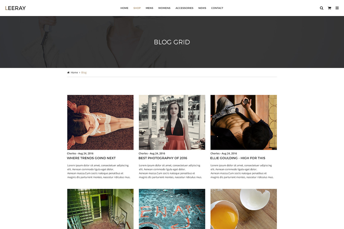 Leeray Fashion Ecommerce Template, a Websites & App Template by mine-tech (Photo 9 of 16)