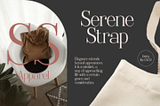 Delcy – Elegant Serif, a Font by Craft Supply Co. (Thumbnail 4 of 8)