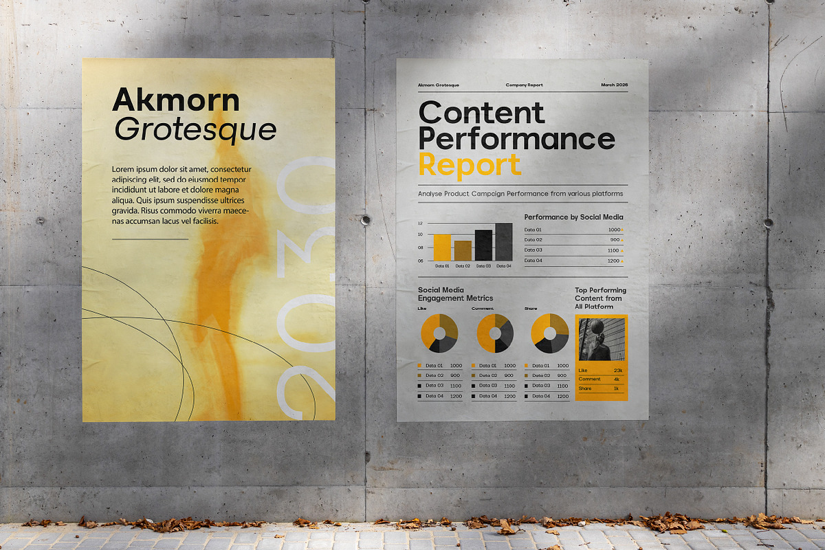 Akmorn Grotesque | Intro 60% OFF, a Sans Serif Font by Lettertype Studio (Photo 8 of 15)