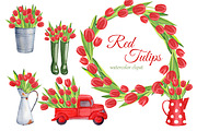 Red tulips watercolor clipart, an Illustration by s.yanyeva (Thumbnail 1 of 4)