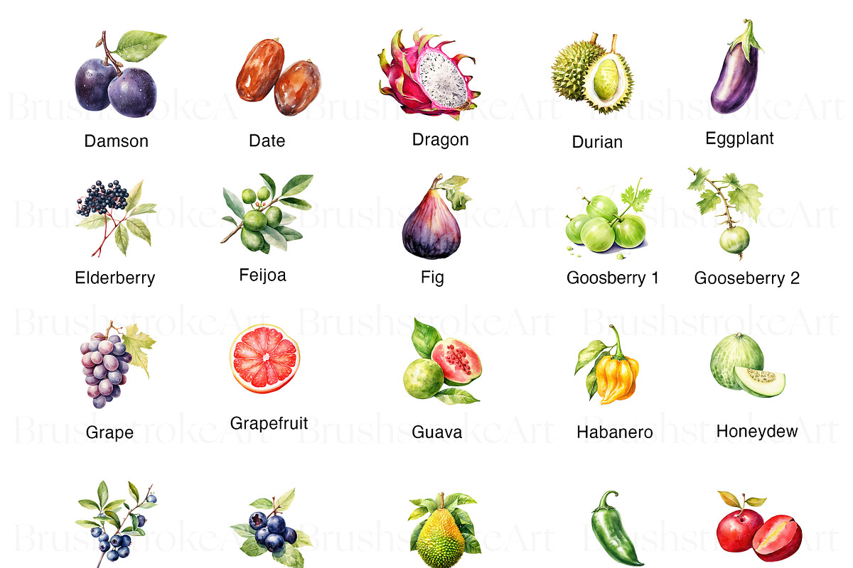 Watercolor Fruits Clipart, Pear PNG, a Food Illustration by BrushstrokeArtGB (Photo 4 of 9)