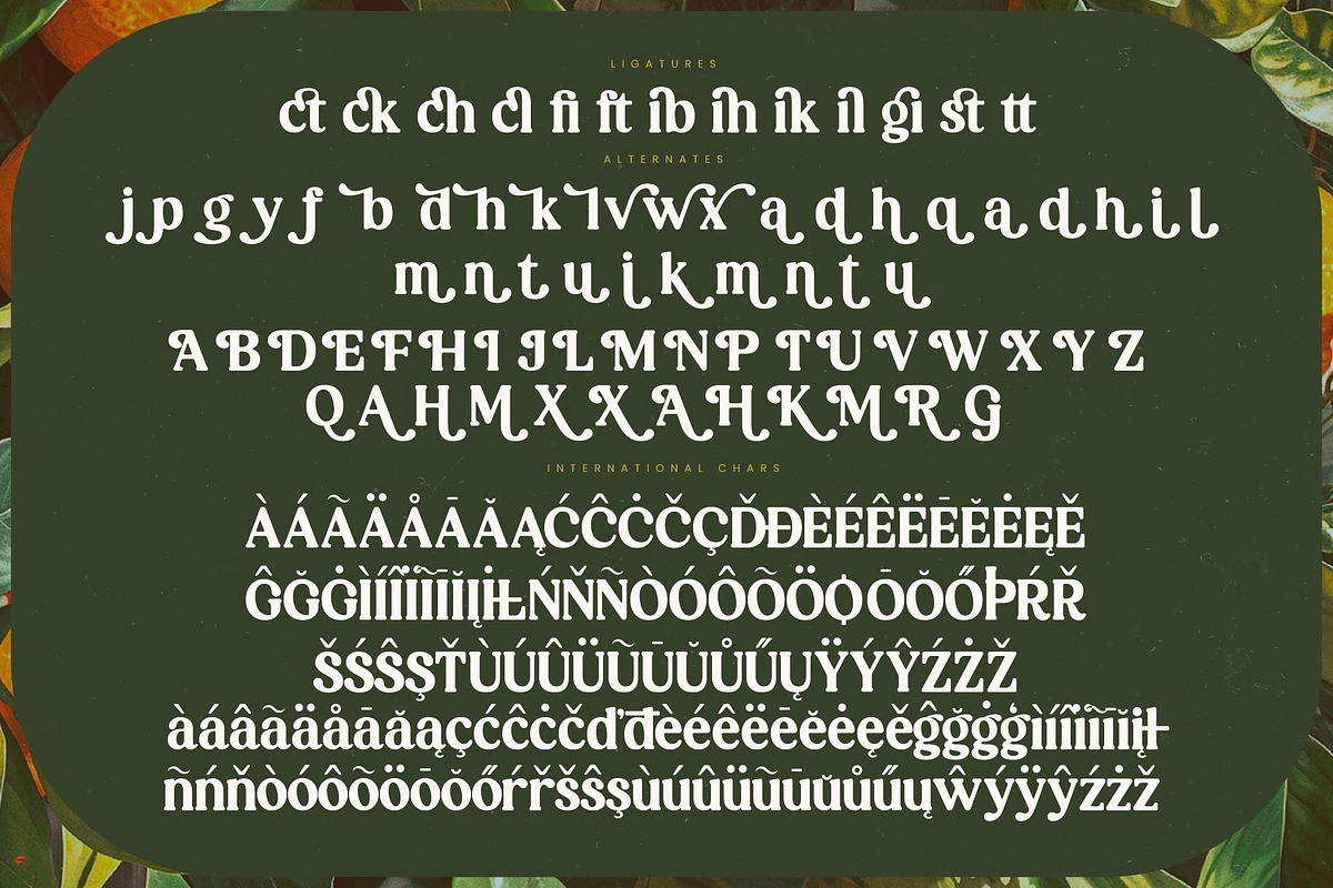 Magics Flavor Retro Modern Serif, a Serif Font by timelesstype.co (Photo 19 of 20)