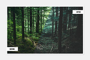 Enchanted Forest Lightroom Presets, a Plug-in Add-On by Applesaw.co (Thumbnail 2 of 4)