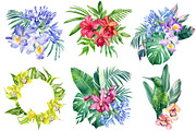 Orchid flowers watercolor, a Decorative Illustration by Hanna Hryharenka (Thumbnail 6 of 9)
