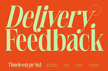 Delivery Feedback Modern Serif