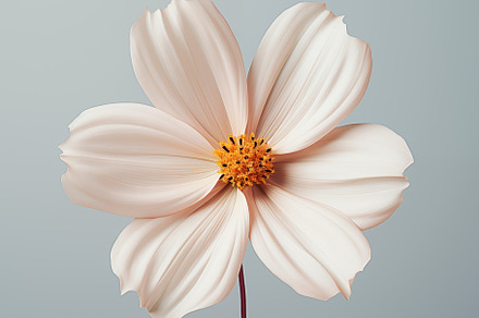 A delicate, minimalistic pale pink flower with smooth, flowing petals and a bri, an Arts & Entertainment Photo by Textures & Backgrounds