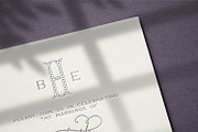 Tulipa Monogram Font, a Font by Haute Papier (Thumbnail 5 of 6)