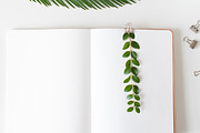 Desk Collection Stock Photo Bundle, a Business Photo by JB Stock Photography (Thumbnail 5 of 8)