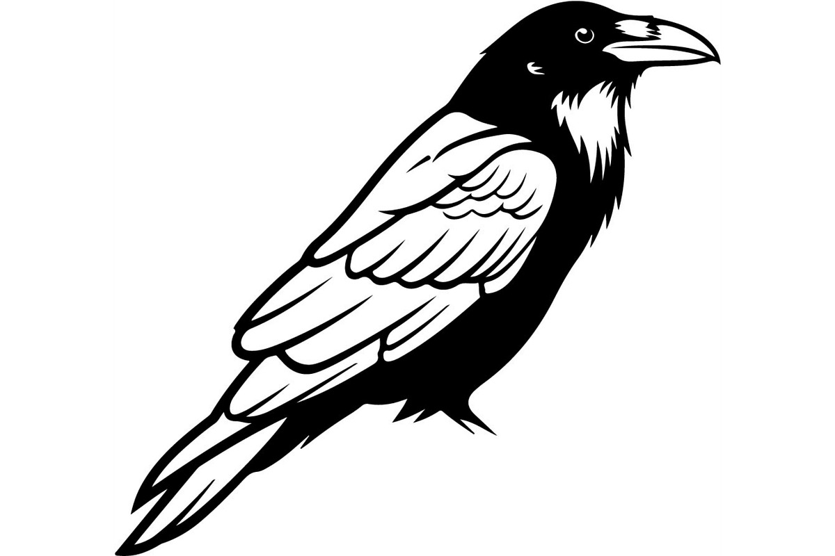 Bird Silhouettes Flying Sideways, an Animal Illustration by Designer_Momina (Photo 21 of 21)