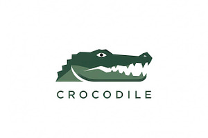 Stylized Green Crocodile, a Branding & Logo Template by Logocreative