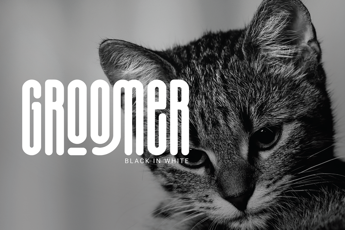 Mightyline - Ultra Condensed Font, a Sans Serif Font by Linecreative (Photo 9 of 11)
