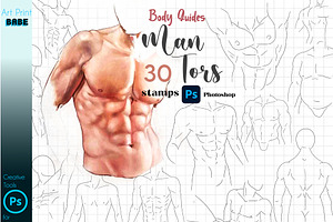 Photoshop Man Torso Guides Male Body