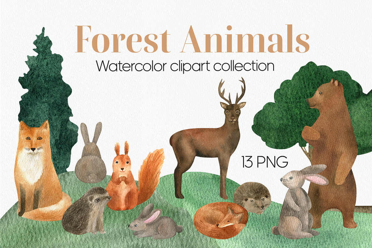 Cute watercolor forest animals, an Animal Illustration by Anntre (Photo 1 of 4)