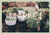 Camaly | san serif, a Sans Serif Font by white supply (Thumbnail 4 of 5)