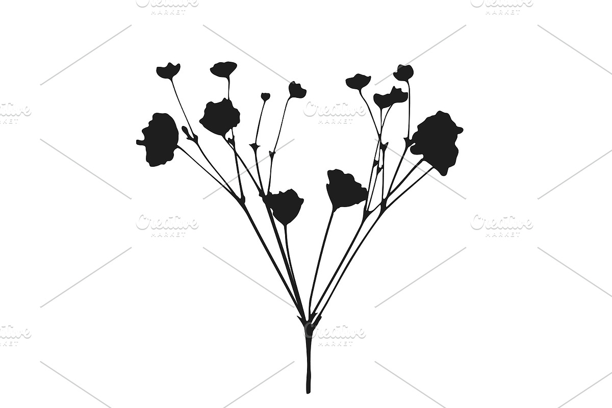 Botanical bundle - svg, png, a Decorative Illustration by Watercolor_Vector Graphic (Photo 16 of 26)