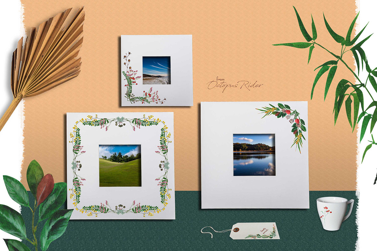 Natural watercolor plants, a Decorative Illustration by OctopusRider (Photo 9 of 9)