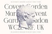 Milegance Modern Display Serif, a Serif Font by Letterena Studios (Thumbnail 8 of 15)