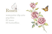 Watercolor Pink Roses, a Decorative Illustration by Budogoshch (Thumbnail 1 of 5)
