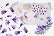 Transparent flora. Watercolor set, a Decorative Illustration by Ola_Vola (Thumbnail 10 of 10)
