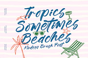 Tropics Sometimes Beaches, a Script Font by stylishtype.co (Thumbnail 1 of 15)