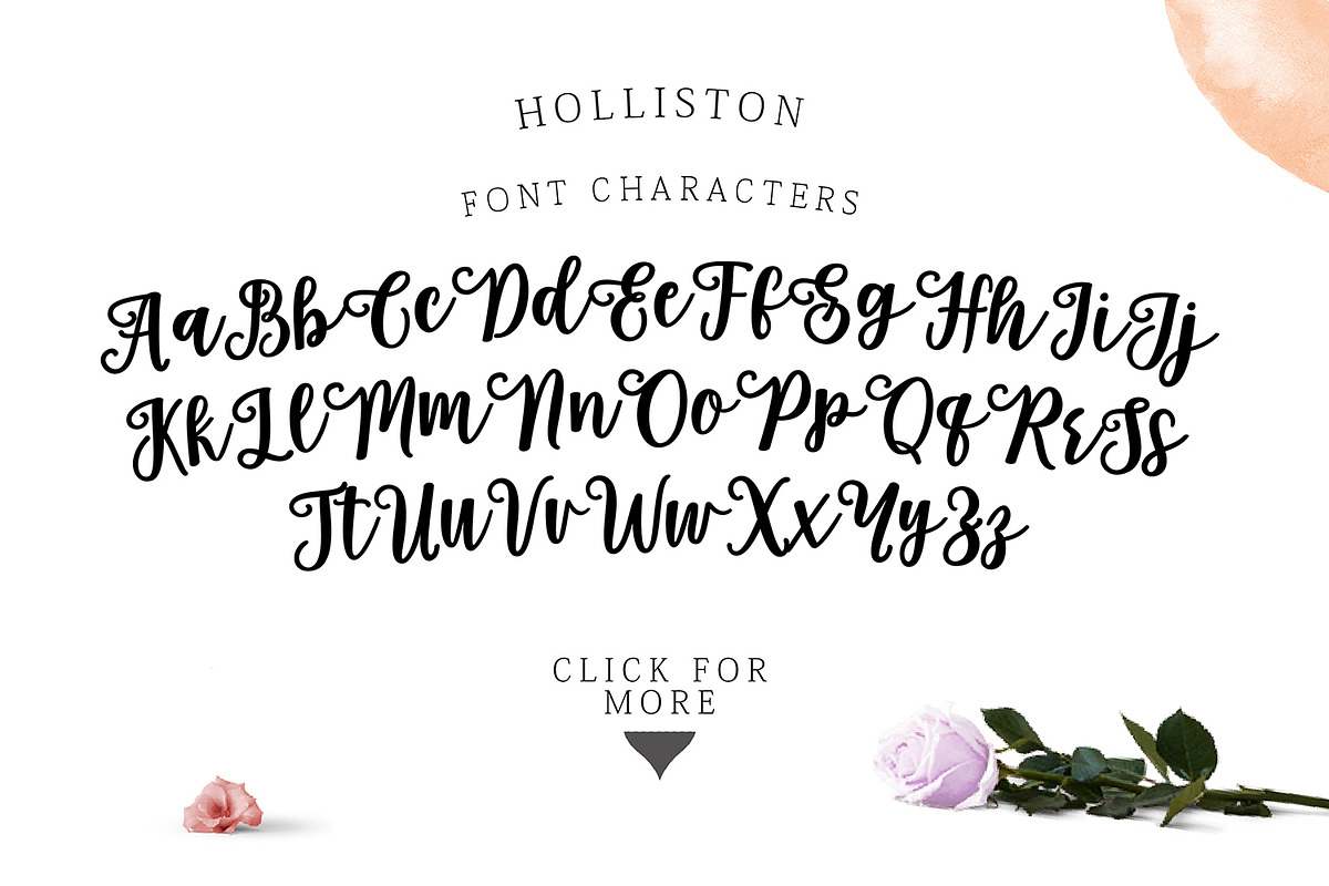 Holliston Script preview 6