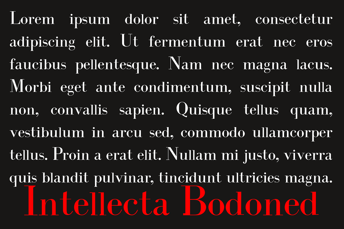 Intellecta Bodoned, a Serif Font by Intellecta Design (Photo 4 of 5)