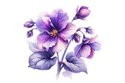 Violet Flower Watercolor Clipart, an Illustration by Designking (Thumbnail 2 of 4)