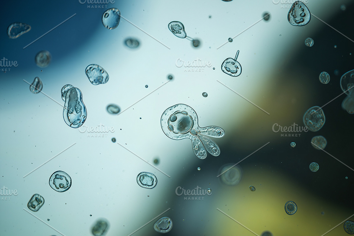 52 Fictional Microscopic Organisms, an Abstract Photo by h.utomo (Photo 36 of 52)