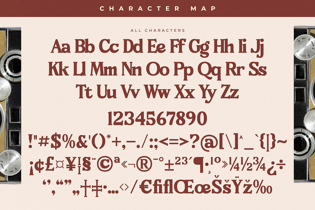 Bricks Antique Modern Vintage Serif, a Serif Font by Letterena Studios (Photo 13 of 15)