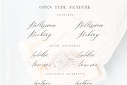 Amelie Script, a Script Font by Calamar Studio (Thumbnail 13 of 15)