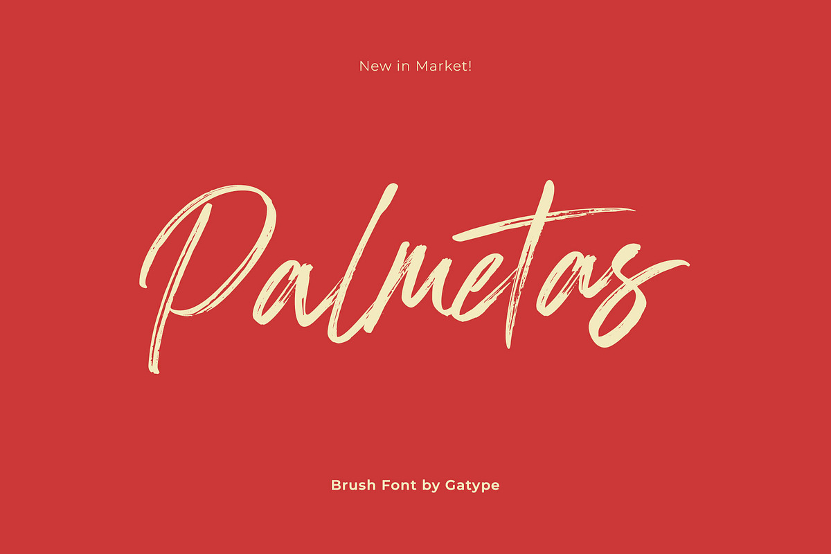 Palmetas, a Handwritten Font by Gatype (Photo 1 of 10)