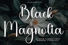 Black Magnolia