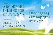 Haven Kindred Decorative Script Font, a Script Font by Vadovastd (Thumbnail 2 of 7)