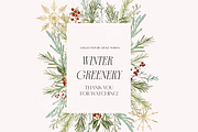 Winter Christmas Greenery Collection, a Decorative Illustration by Grace Noboa Illustrations (Thumbnail 8 of 8)