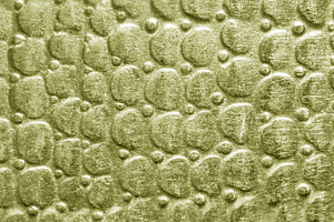 Scratched golden texture with round pattern. Abstract metallic b, a Background Photo by Eugene_Photo