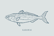 Hand drawn vectors of saltwater fish, an Animal Illustration by Naty Art (Thumbnail 7 of 11)
