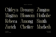 Mulberry Garden - Classic Serif Font, a Serif Font by Pixesia Studio (Thumbnail 15 of 15)