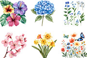 Watercolor Flower Collection Clipart, an Illustration by Designking (Thumbnail 4 of 5)