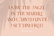 January Love - SVG Font Duo Pack, a Serif Font by SilverStag Type Foundry (Thumbnail 20 of 35)