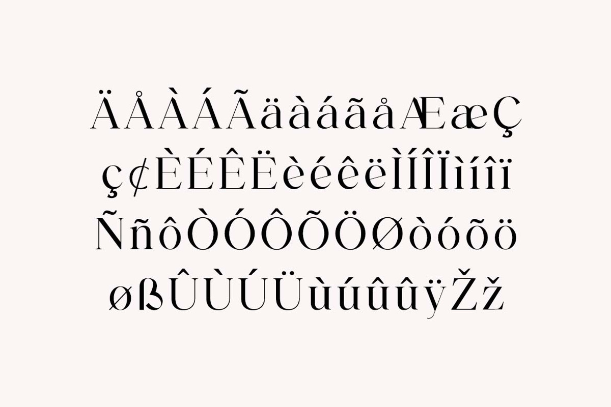 Backswings Modern Serif Family Font, a Serif Font by UICreative (Photo 10 of 13)